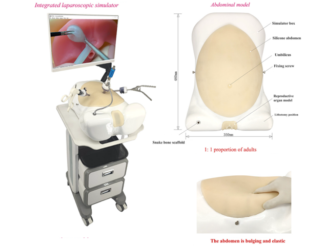 HFM-8968 Laparoscopic simulator