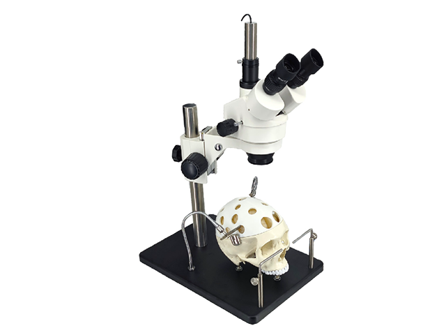 Microsurgical Training simulator HFM-8761