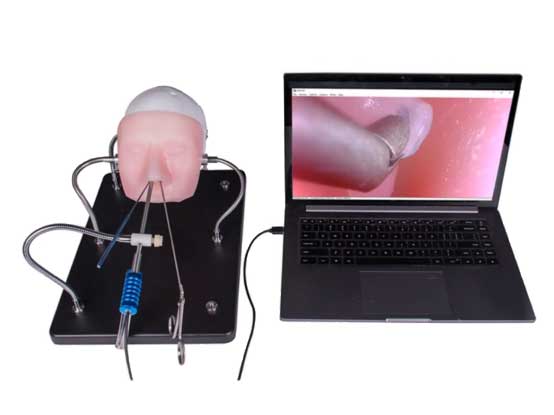 Neuroendoscopy Simulator HFM-8610