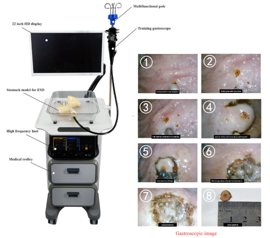 Medical Science Integrated training simulator(ESD) HFM-8510