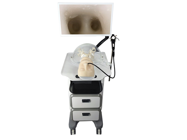 Bronchoscopic training simulator HFM-8879