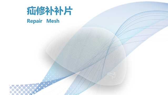 Repair Mesh